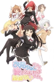 Onii-chan Dakedo Ai Sae Areba Kankeinai yo ne