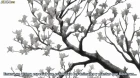 Mushishi episodio 15