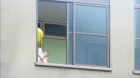 Go! Go! 575 episodio 2