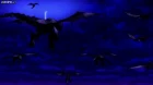 Seikoku no Dragonar episodio 9