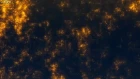 Tokyo ESP episodio 12