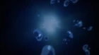 Ghost in the Shell: Arise - Border:3 Ghost Tears episodio 1