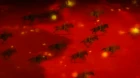 Shingeki no Bahamut: Genesis episodio 1
