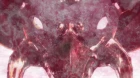 Juuou Mujin no Fafnir episodio 11