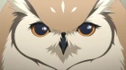 Shounen Hollywood: Holly Stage for 50 episodio 5