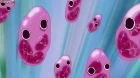 Dog Days'' S3 episodio 8