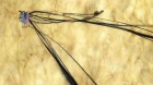 Ushio to Tora episodio 13