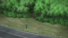 Noragami Aragoto episodio 12