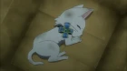 Miss Monochrome: The Animation 3 episodio 8