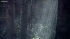 Kagewani episodio 1
