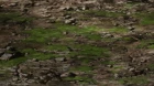Terra Formars Revenge episodio 6