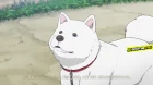 Kuma Miko episodio 5