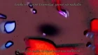 Loveless episodio 6