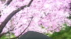 Flying Witch episodio 4