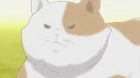 Usakame episodio 3