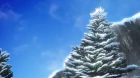 Tales of Zestiria the X (2017) episodio 10