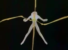 Kishin Douji Zenki episodio 46
