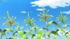 3-gatsu no Lion 2nd Season episodio 13