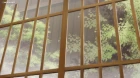 Rokuhoudou Yotsuiro Biyori episodio 6