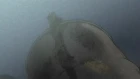 Higurashi no Naku Koro ni Kai episodio 12