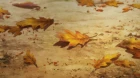 Piano no Mori (TV) episodio 9