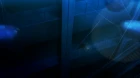 Princess Lover! episodio 8