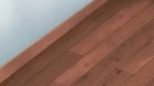Nande Koko ni Sensei ga!? episodio 10