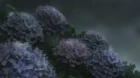 Ahiru no Sora episodio 38