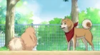 Oda Cinnamon Nobunaga episodio 1