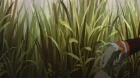 Tengen Toppa Gurren Lagann episodio 16