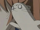 Mahou Sensei Negima! episodio 21