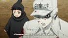 Hataraku Saibou!! episodio 3