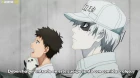 Hataraku Saibou!! episodio 4