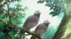 Mashiro no Oto episodio 2
