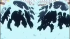 Kaguya-sama wa Kokurasetai: Tensai-tachi no Renai Zunousen OVA episodio 1