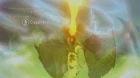 Princess Connect! Re:Dive Season 2 episodio 8