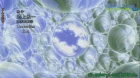 Shangri-La episodio 12