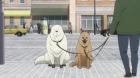 Spy x Family Part 2 episodio 1