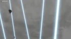 Muv-Luv Alternative 2nd Season episodio 8