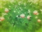 DearS episodio 9