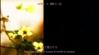 Samurai Champloo episodio 15