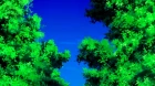 Nagasarete Airantou episodio 11