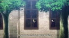 Mashle episodio 3