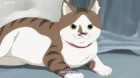 Kimi wa Houkago Insomnia episodio 4