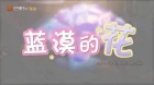 Lan Mo de Hua episodio 4
