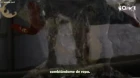 Cang Lan Jue episodio 6
