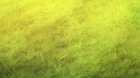 Tate no Yuusha no Nariagari Season 3 episodio 10