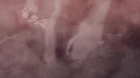 Kage no Jitsuryokusha ni Naritakute! 2nd Season episodio 3