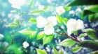 Kimi no Koto ga Daidaidaidaidaisuki na 100-nin no Kanojo episodio 3