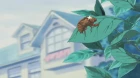 Azumanga Daioh episodio 12